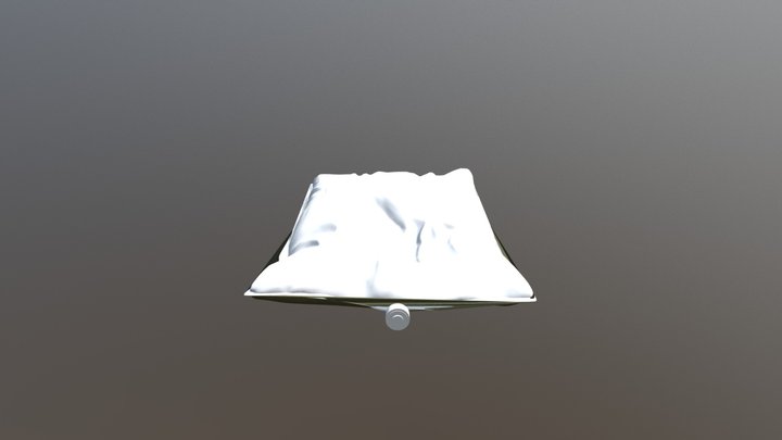 package 3D Model