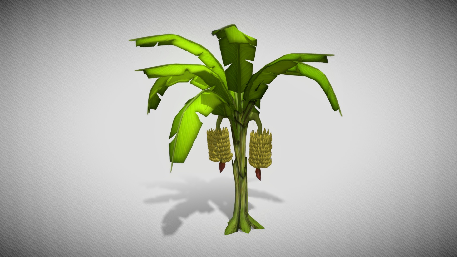 3D model Banana Tree - This is a 3D model of the Banana Tree. The 3D model is about a pineapple with leaves.