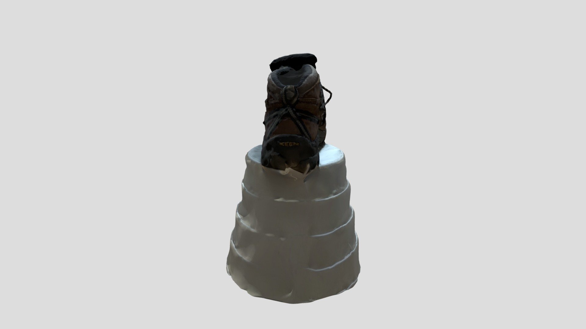 Polycam Leiaviewer