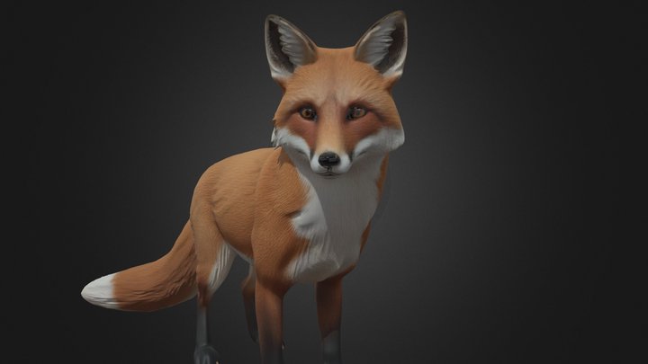 Red Fox Standing Pose Realistic