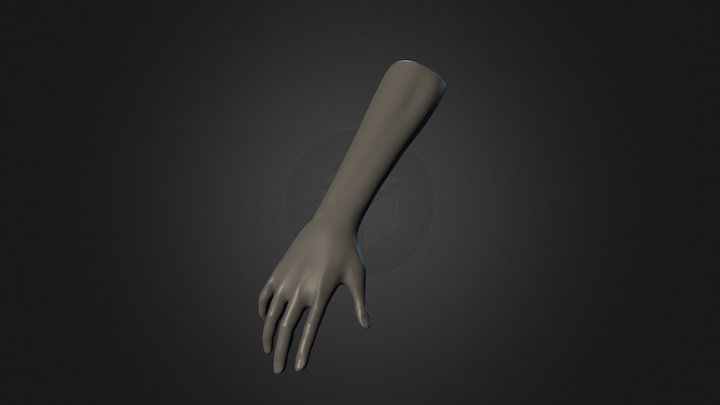 Greyscale Arm and Hand Drawing Reference Pose 01 3D Model