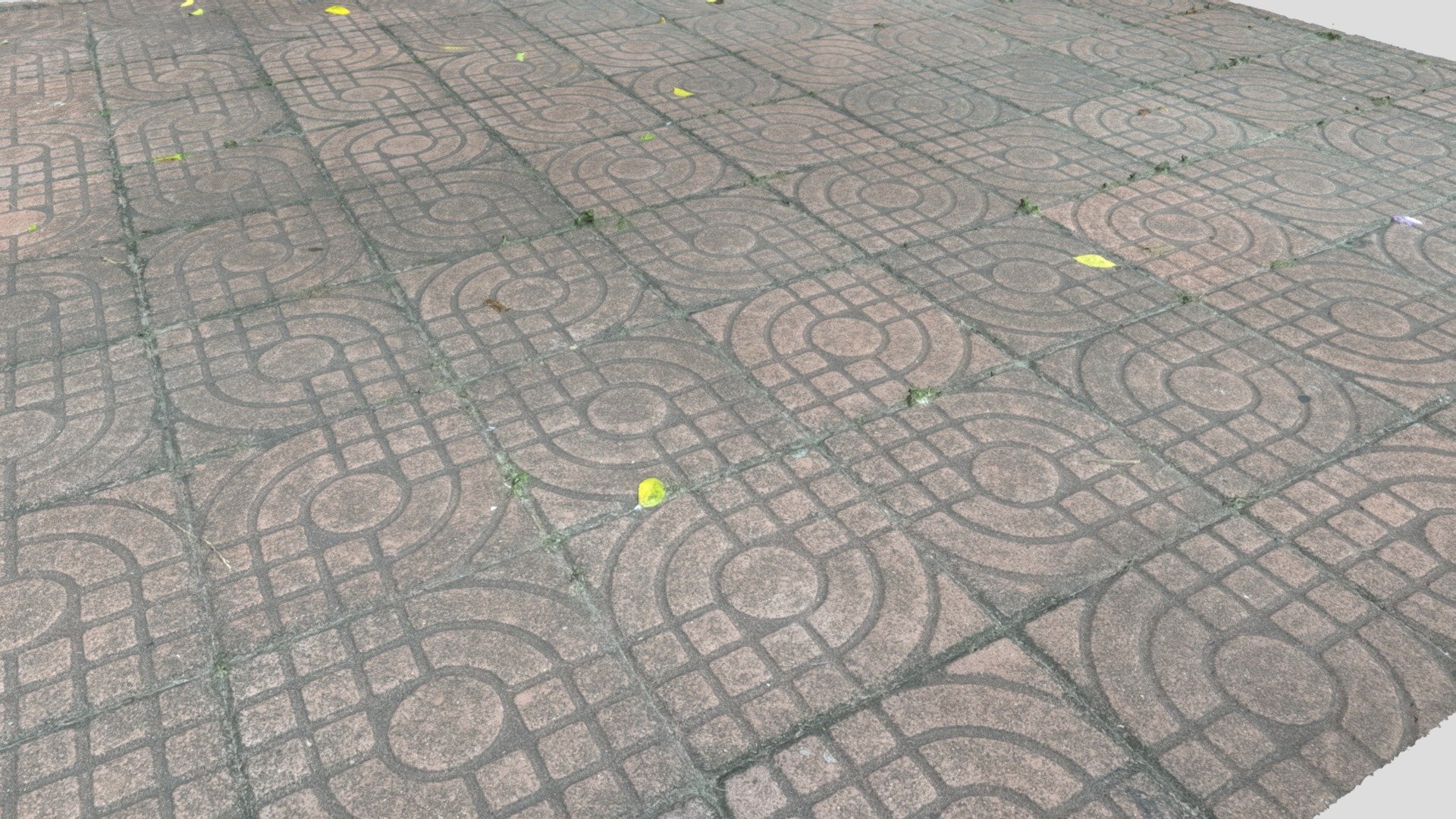 Ground Bricks 02 Scan