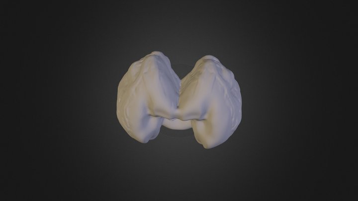 Hell Boy 3D Model