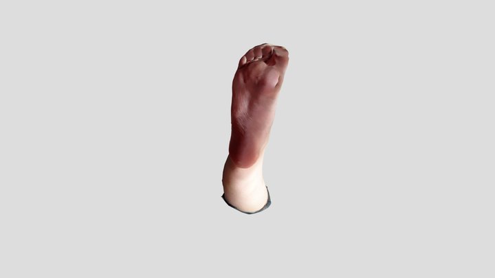 pied jambe en l'air 3D Model