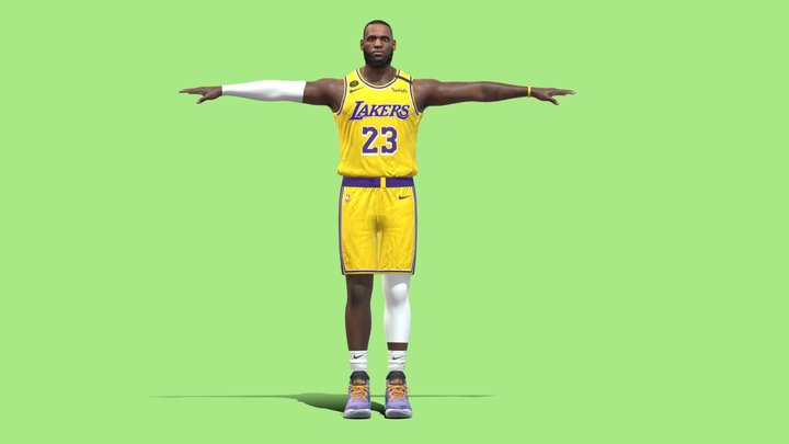 T-P Rigged Lebron James NBA 3D Model