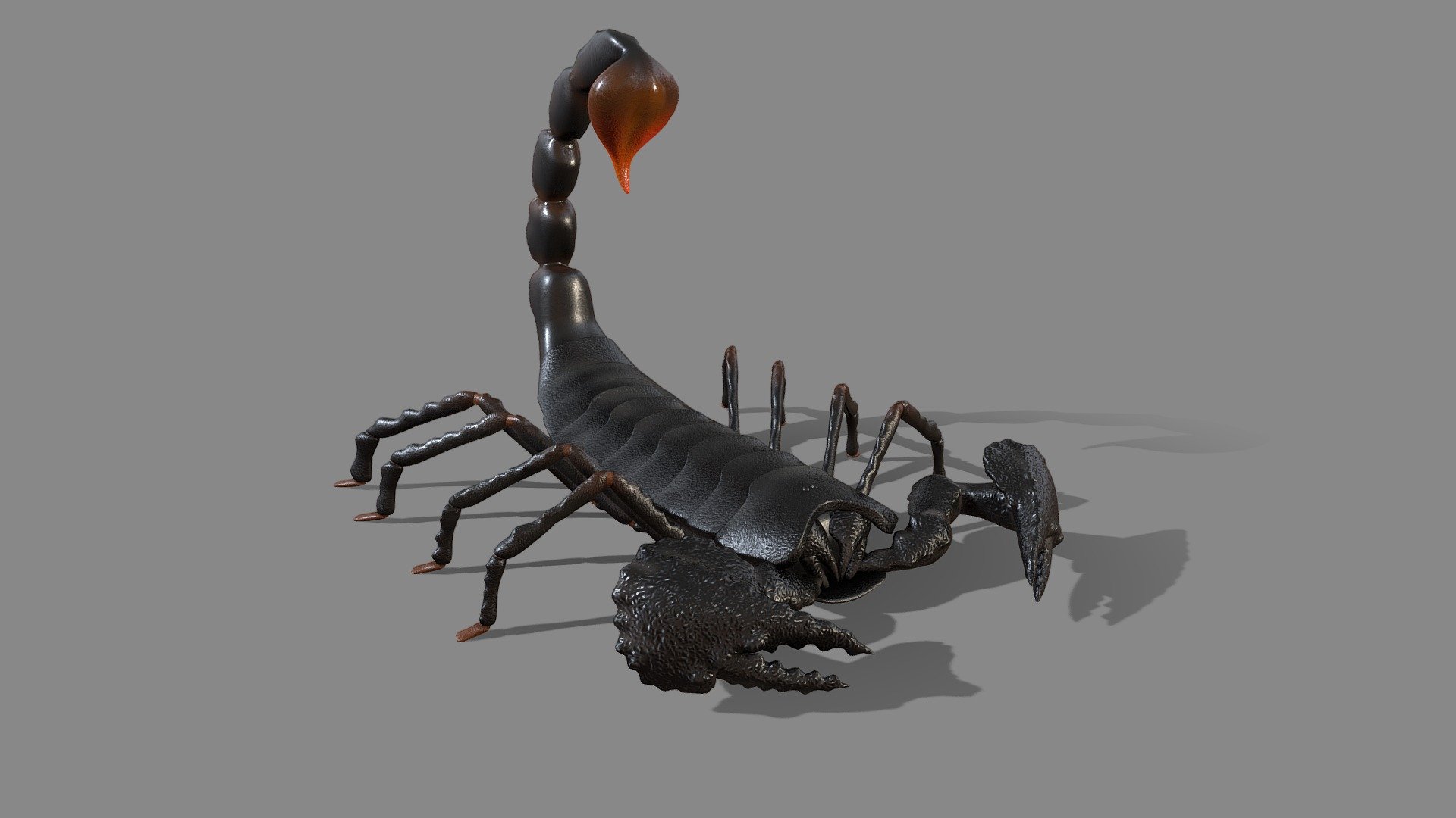 scorpion 3d model