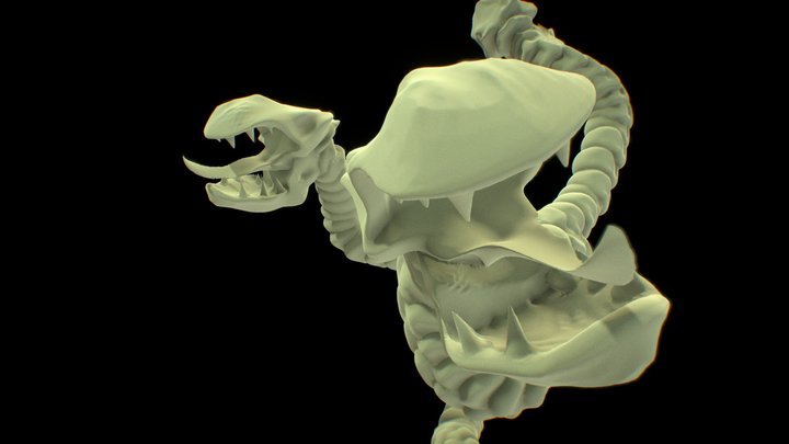 scutura 1 3D Model