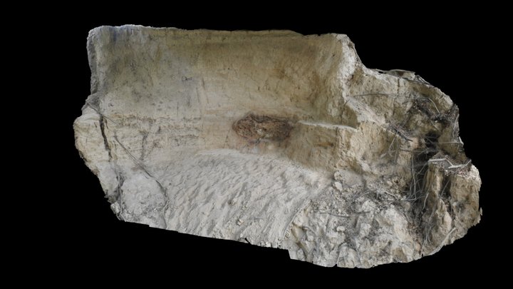 House Remains 3D Model