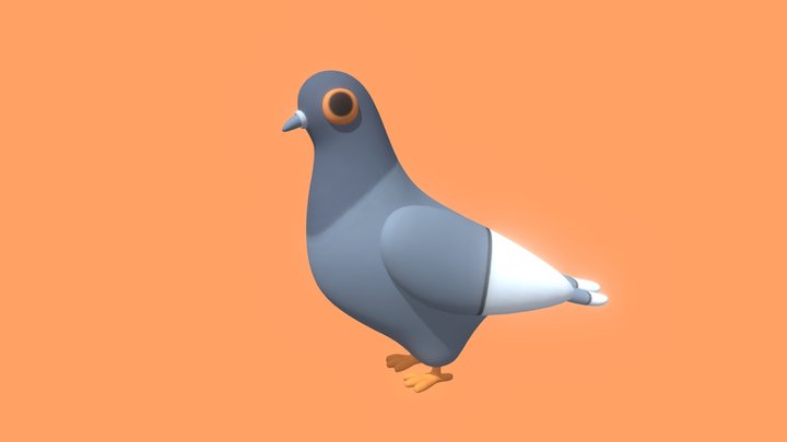 Pigeon 3D Model