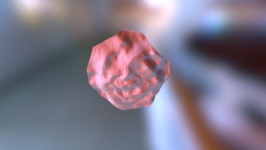 Fabric Flower (Fuel3D SCANIFY)