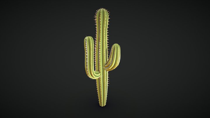 Stylized PBR Cactus 3D Model