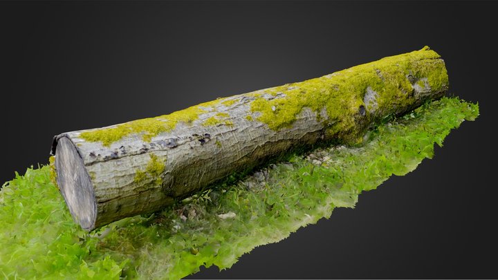 Detailed Mossy Oak Tree Trunk In Grass Scan 3D Model