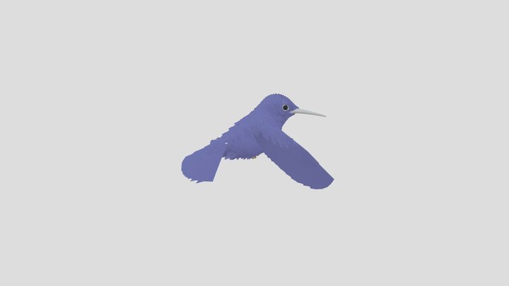 Humming Bird Hover Loop4 3D Model