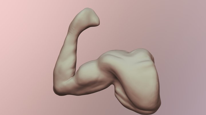 Arm practice 3D Model
