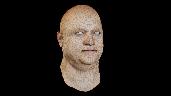 free_basemesh_head_fat man 3D Model