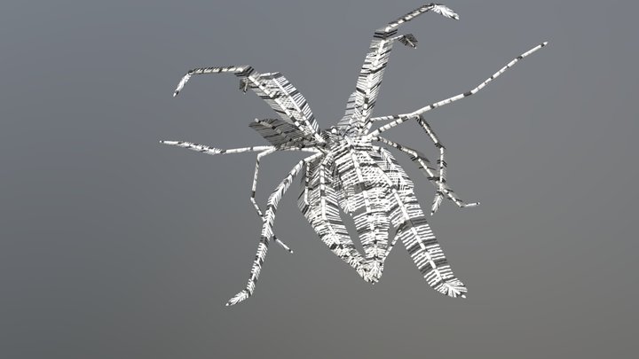 feather star 3D Model