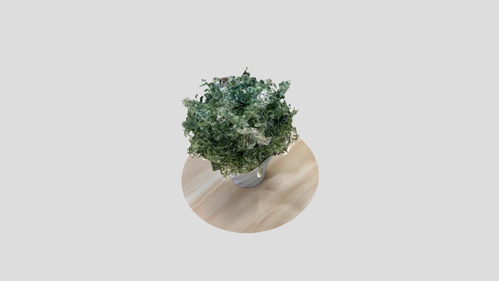 Plant
