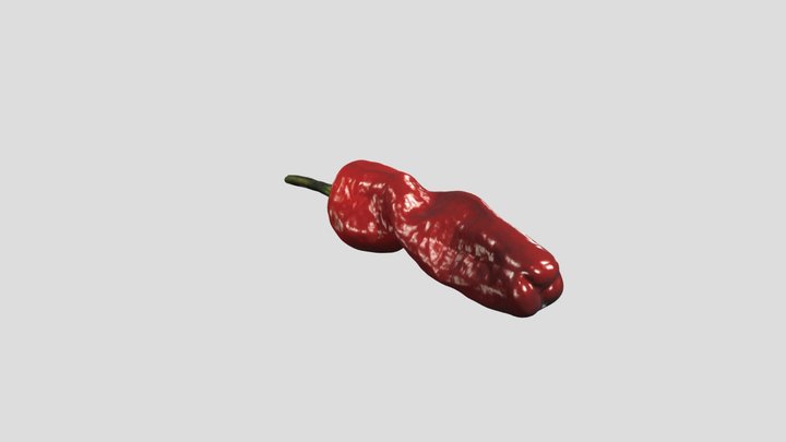 Chili - SOL 3D Scanner 3D Model