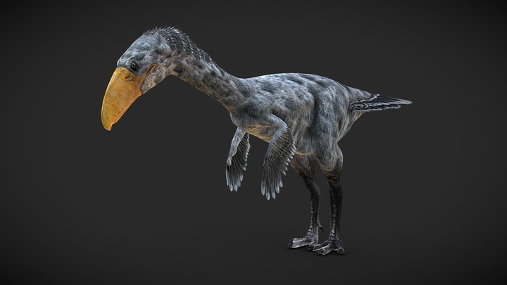 Terror Bird (Phorusrhacos) - Rigged 3D Model