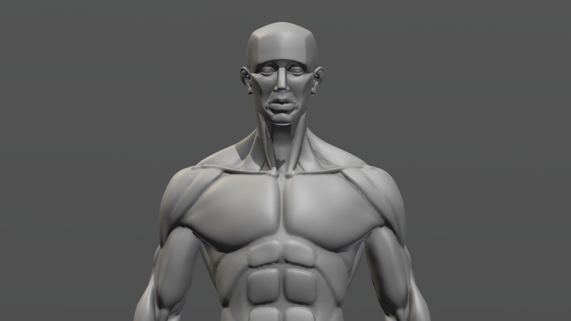 Anatomy Sculpt - 3D model by celiksert [3292e3c] - Sketchfab