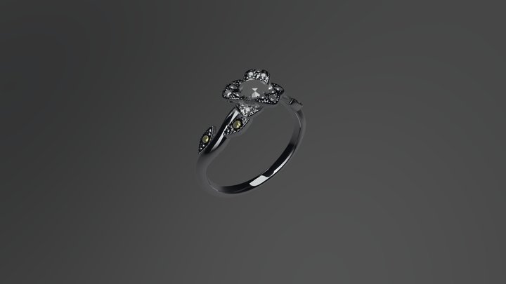 Zacary Burr's Ring 3D Model