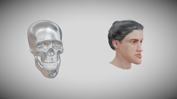 skull-export2 3D Model