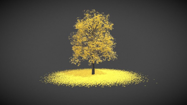 Ginkgo trees in autumn 3D Model