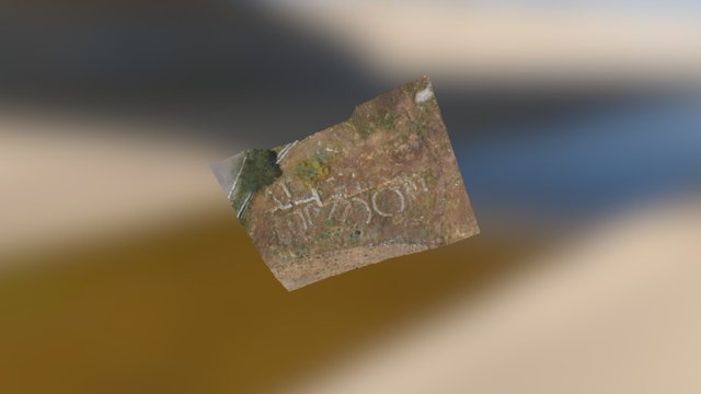 Acinipo prehistorica 3D Model
