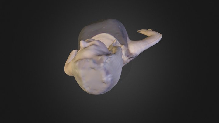 EricaM (1).obj 3D Model