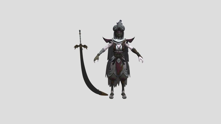 Stylized Women Warrior