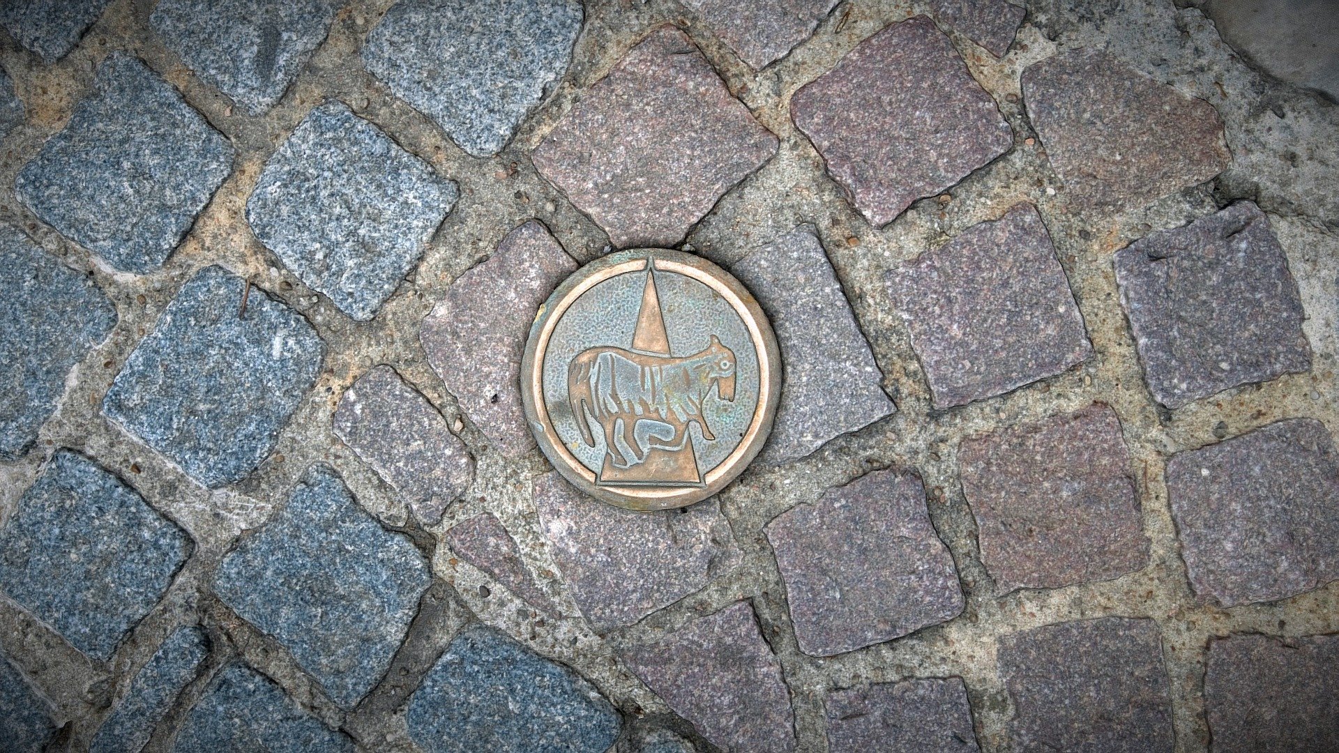 Cluny - Seal on ground