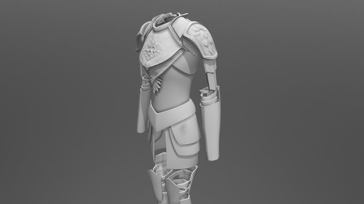 Armor of a knight (concept) 3D Model