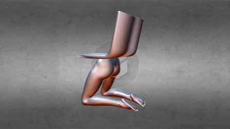 Chair Design Pelvis Female 3D Model