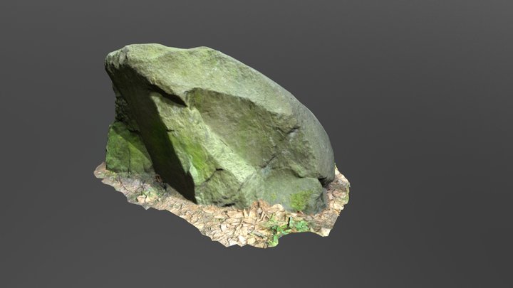 Scanned Basalt Rock 3D Model