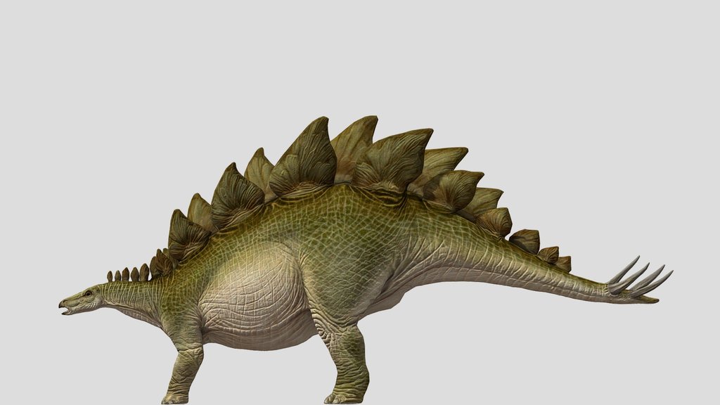 DracoWarrior's Stegosaurus