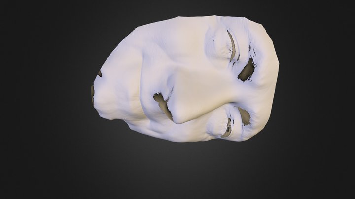 100263 3D Model