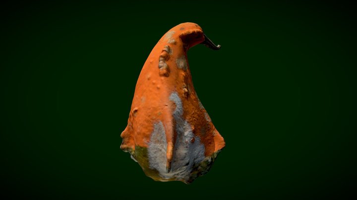 Decorative Pumkin 3D Model