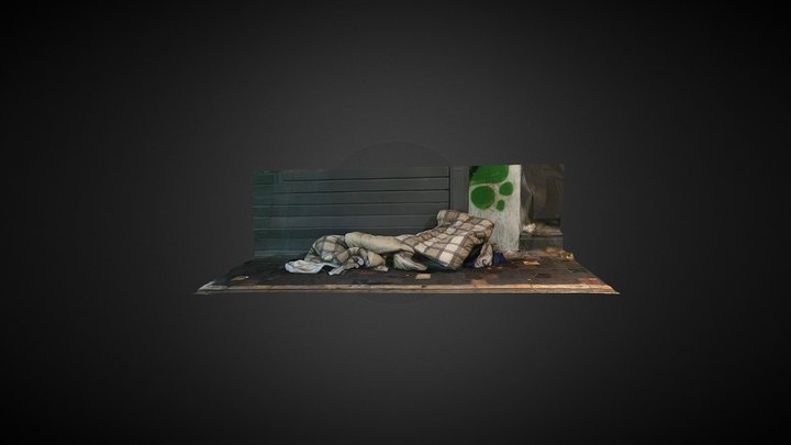 Homeless 3D Model
