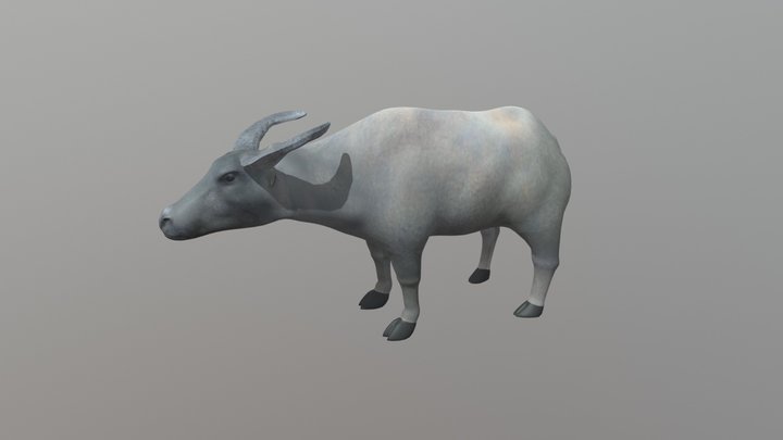 Buffalo 3D Model