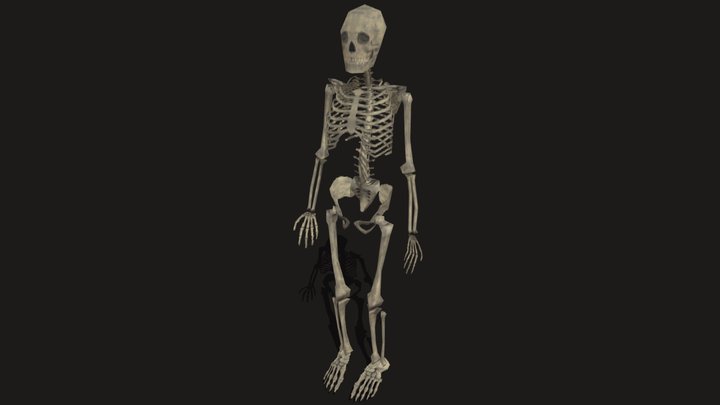 Retro Lowpoly PSX Skeleton 3D Model