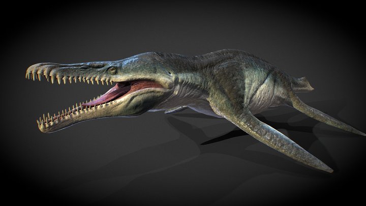 Kronosaurus (For animation) 3D Model