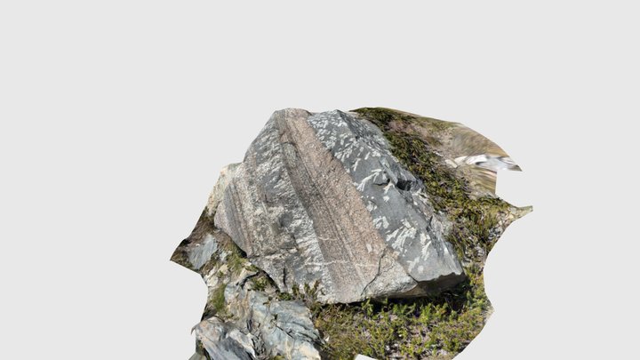 Crazy dendritic feldspar  erratic that has been… – Modelo 3D gratuito STL