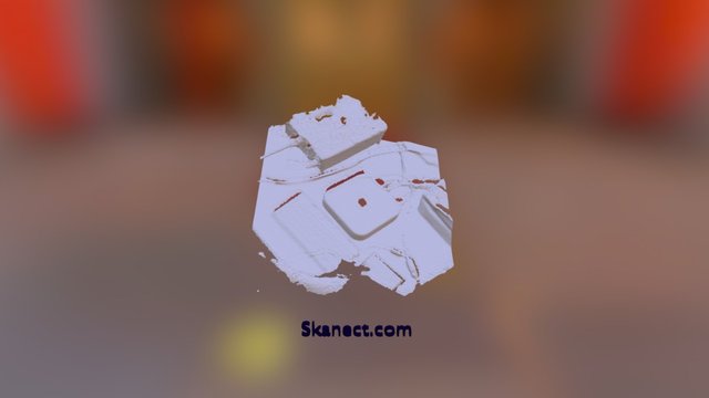 New Skanect Model 3D Model