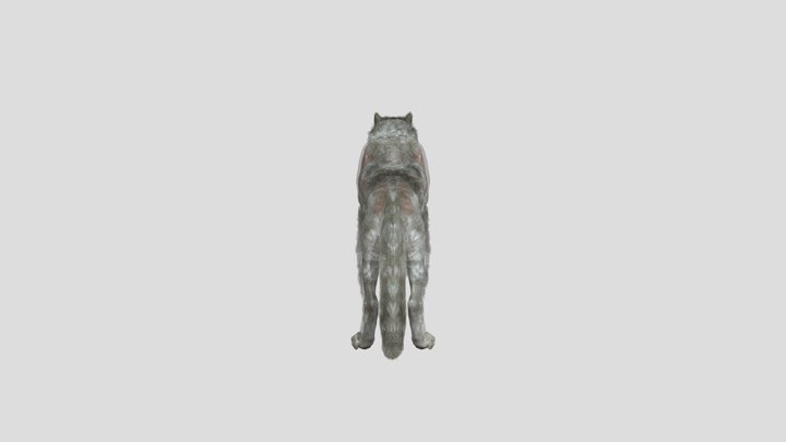 Wolf 3D Model