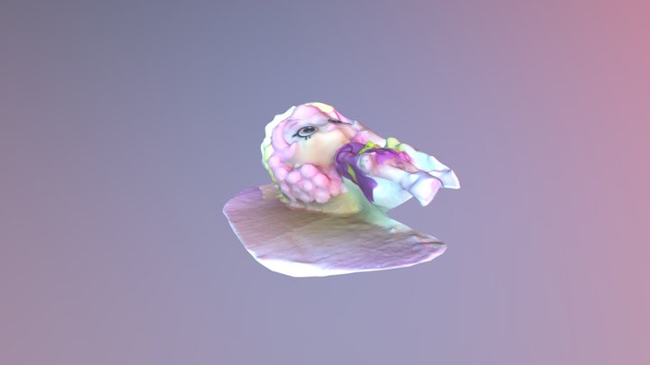Freshman Imaging Project Cohort 9: Model Result 3D Model