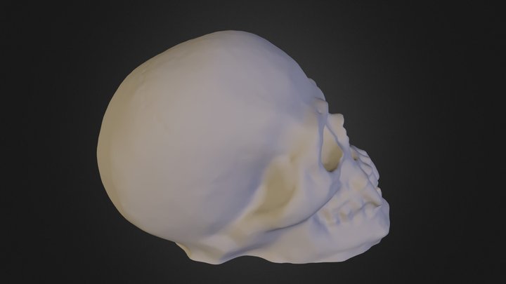 vampireSkull 3D Model