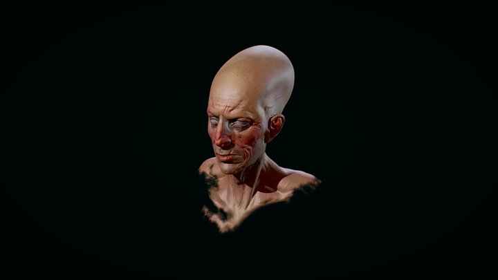 daily-p 3D Model