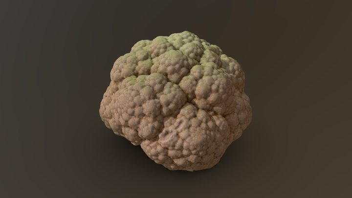 Cauliflower Head 01 3D Model