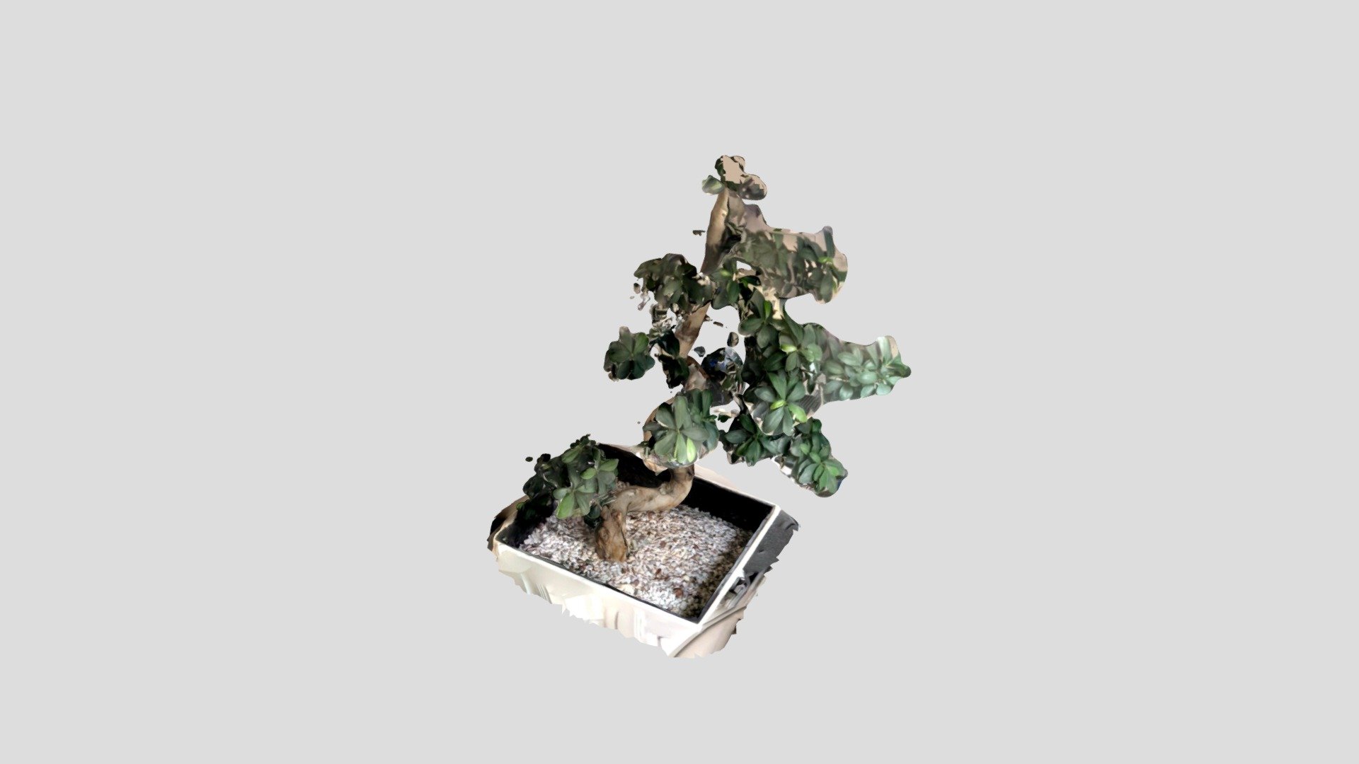 A TRNIO Model