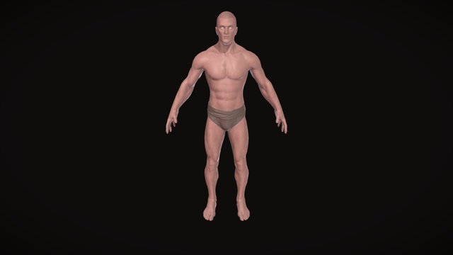 Male 3D Model